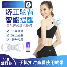 姿势矫正带品牌及商品 京东