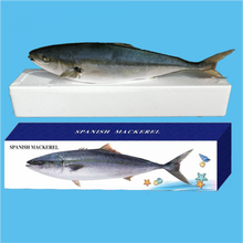 鰤鱼价格报价行情 京东