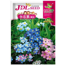 勿忘草种子图片 京东