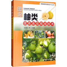 文旦柚栽培价格报价行情 京东