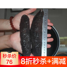 èŒ„æµ·å‚ä»·æ ¼æŠ¥ä»·è¡Œæƒ… äº¬ä¸œ