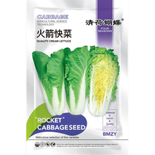 新鲜白菜苗价格报价行情- 京东