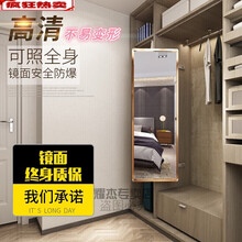 大衣柜镜子图片 京东