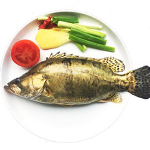 桂花鱼新款 桂花鱼21年新款 京东