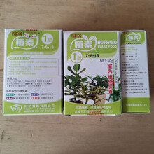 花宝一号新款 花宝一号21年新款 京东