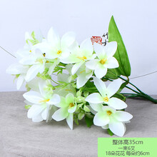 水仙花束品牌及商品 京东