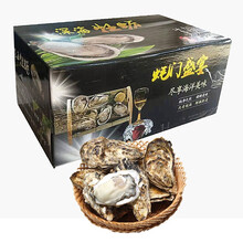 鲜活蚝王价格报价行情 京东