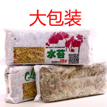 水苔养兰花品牌及商品 京东