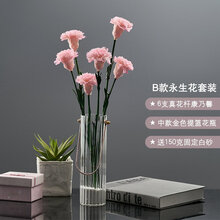 花瓶插花固定价格报价行情 京东