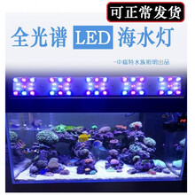 海水珊瑚灯价格报价行情 京东 海水珊瑚灯价格报价行情 京东
