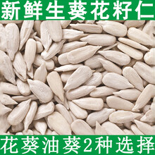生葵瓜子仁价格报价行情 京东 生葵瓜子仁价格报价行情 京东