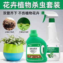 室内植物除虫新款 室内植物除虫21年新款 京东 室内植物除虫新款 室内植物除虫21年新款 京东