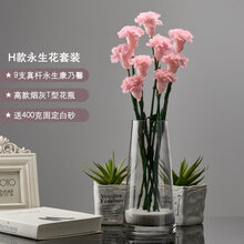 花瓶插花固定价格报价行情 京东