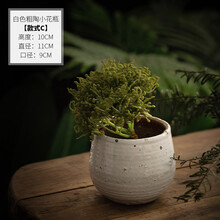 陶器花器价格报价行情 京东