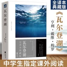 人间失格包邮价格报价行情 京东