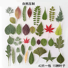 Diy树叶画价格报价行情 京东