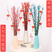 新年花卉品牌及商品 京东 新年花卉品牌及商品 京东