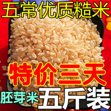 发芽玄米 京东