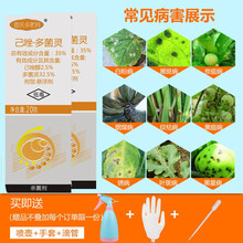室内植物除虫型号规格 京东 室内植物除虫型号规格 京东