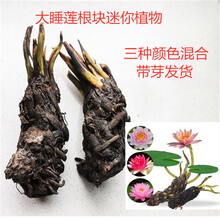 黄南水槽新款 黄南水槽21年新款 京东