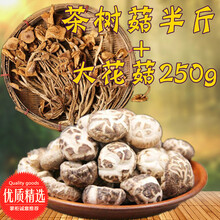 茶花香菇价格报价行情 京东