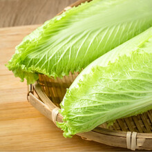 宁夏供港蔬菜新鲜龙芽菜 龙牙菜日本绍菜小白菜软糯开水白菜 三斤装