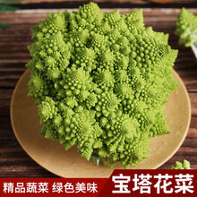 宝塔菜花型号规格 京东