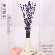水仙紫色价格报价行情 京东