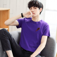 温佩盾（VIMPEYDON） 短袖 男士T恤 935紫色 
