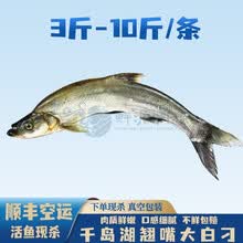 鲜翘嘴鱼价格多少钱一斤 鲜翘嘴鱼价格图片 京东生鲜