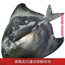 平鱼礼盒价格报价行情 京东