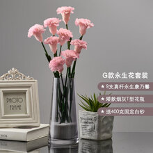 花瓶插花固定价格报价行情 京东