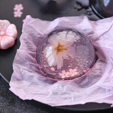 樱花布丁新款 樱花布丁21年新款 京东