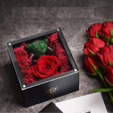 永生花熊价格报价行情 京东