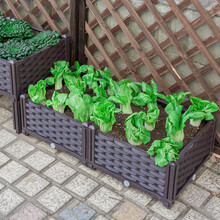 家庭菜园屋顶菜园型号规格 京东