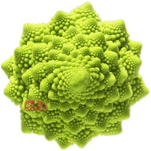 宝塔菜花型号规格 京东