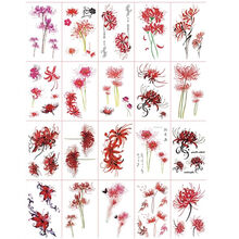 彼岸花英文图片 京东