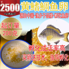 罗非鱼孵化品牌及商品 京东