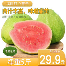 芭乐番石榴新款 芭乐番石榴21年新款 京东 芭乐番石榴新款 芭乐番石榴21年新款 京东