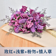 紫色满天星价格报价行情 京东