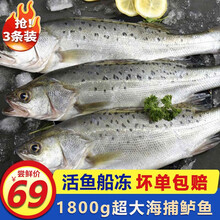冷冻花鲈鱼价格报价行情 京东