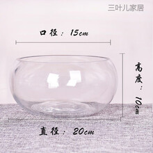 水仙花瓶新款 水仙花瓶21年新款 京东 水仙花瓶新款 水仙花瓶21年新款 京东