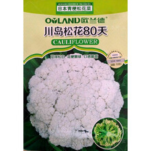 种子花椰菜新款 种子花椰菜21年新款 京东 种子花椰菜新款 种子花椰菜21年新款 京东