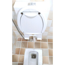 卫生洁具卫浴型号规格 京东