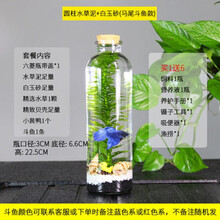 Diy水草泥型号规格 京东