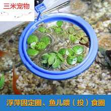 固定水草图片 京东