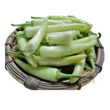 新玉葱价格报价行情 京东