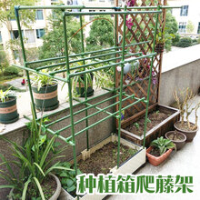 花支架花支柱新款 花支架花支柱21年新款 京东