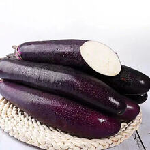 天序茄子茄果瓜类价格报价行情 京东