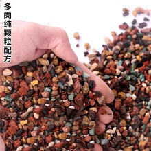 多肉植物配土图片 京东 多肉植物配土图片 京东
